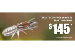 Termite Treatment Perth