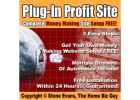 Double Your Income Quickly With This System