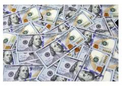 Want Financial Freedom?